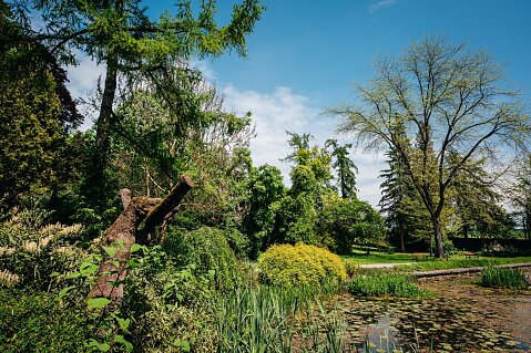 Arboretum-Bila-Lhota-1.JPG