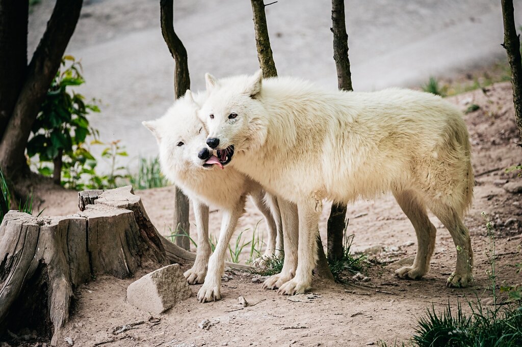 Zoo Olomouc